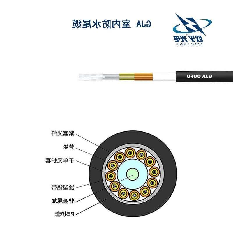 欧孚防水尾缆 (GJA) 双芯防水尾缆 新款光纤连接器防水尾缆