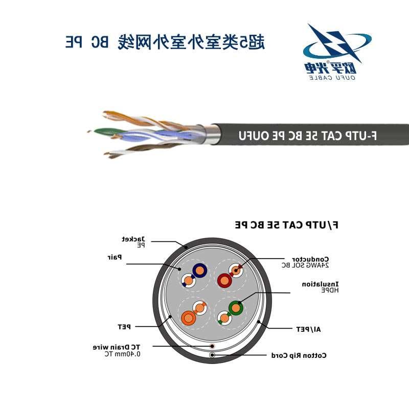 F / UTP CAT 5E以太网网络电缆